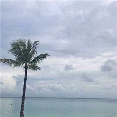 萧十一剑游戏